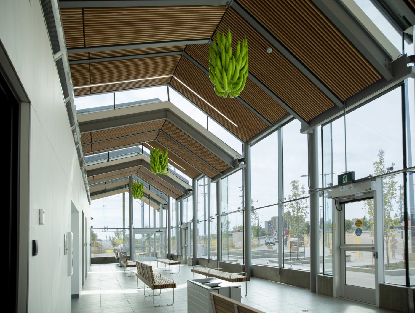 Belvedere Transit Centre DIALOG